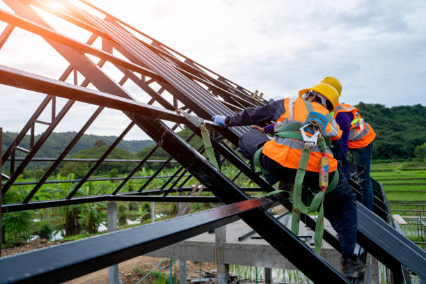 Best Local Roofing Companies  in Albany, WI
