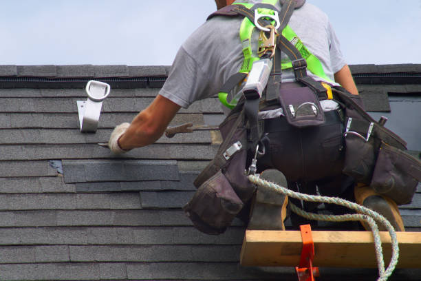 Best Storm Damage Roof Repair  in Albany, WI