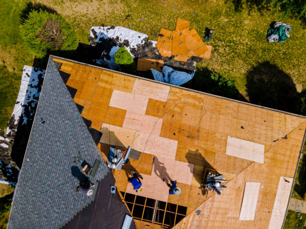 Best Flat Roof Repair Services  in Albany, WI