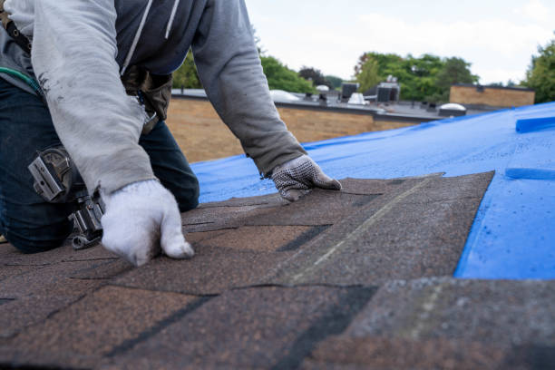 Roof Gutter Cleaning in Albany, WI