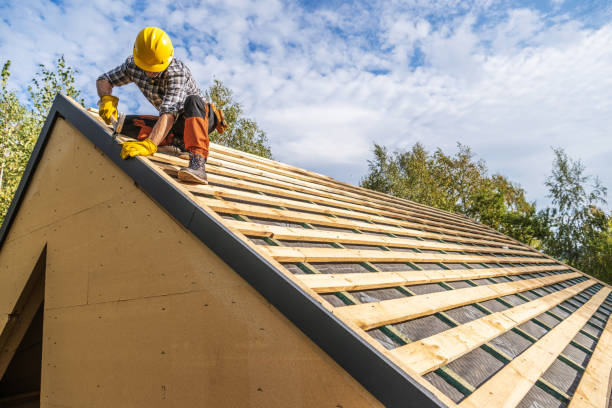 Best Roof Gutter Cleaning  in Albany, WI
