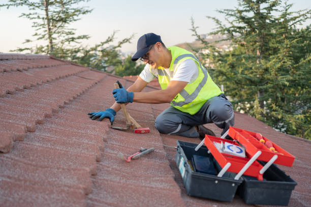 Best Roof Leak Repair  in Albany, WI