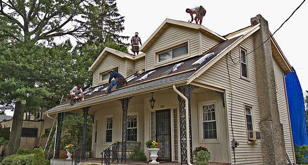 Best Commercial Roofing Services  in Albany, WI