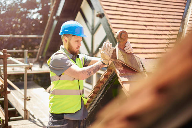 Best Metal Roofing Contractor  in Albany, WI