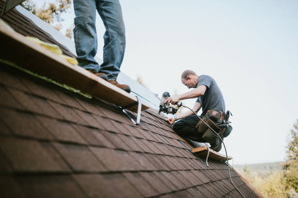 Best Residential Roofing Contractor  in Albany, WI