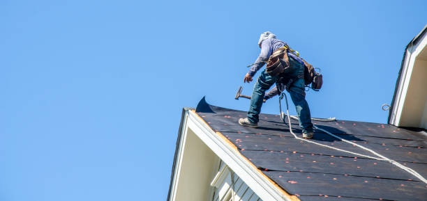Best Shingle Roofing Installation  in Albany, WI